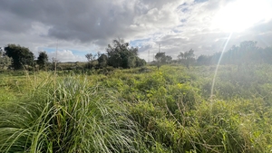 Armaz�m - Atouguia da Baleia, Peniche, Leiria - Miniatura: 14/15