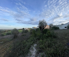 Terreno R�stico - Azoia de Cima, Santar�m, Santar�m - Miniatura: 1/8