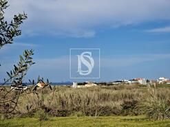 Terreno R�stico - Ferrel, Peniche, Leiria - Miniatura: 3/21