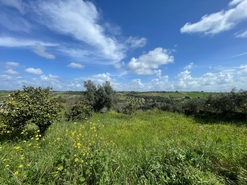 Terreno R�stico - Abitureiras, Santar�m, Santar�m - Miniatura: 6/6
