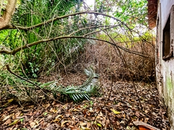 Moradia T0 - Vale de Santar�m, Santar�m, Santar�m - Miniatura: 8/8