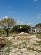 Terreno R�stico - Cas�vel, Santar�m, Santar�m - Miniatura: 2/7