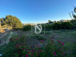 Terreno R�stico - Vale de Santar�m, Santar�m, Santar�m - Miniatura: 4/8
