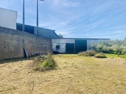 Terreno R�stico - Pernes, Santar�m, Santar�m - Miniatura: 8/15