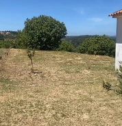 Terreno R�stico - Pernes, Santar�m, Santar�m - Miniatura: 14/15