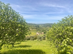 Terreno R�stico - Pernes, Santar�m, Santar�m - Miniatura: 10/15