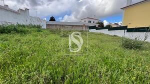 Terreno R�stico - Abitureiras, Santar�m, Santar�m - Miniatura: 9/13