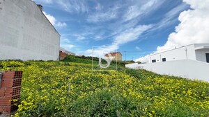 Terreno Rstico T0 - Lourinh, Lourinh, Lisboa - Miniatura: 4/6