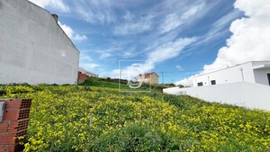 Terreno Rstico T0 - Lourinh, Lourinh, Lisboa - Miniatura: 5/6