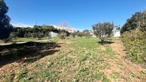 Terreno R�stico - Lourinh�, Lourinh�, Lisboa - Miniatura: 7/8