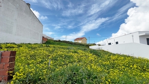 Terreno R�stico - Lourinh�, Lourinh�, Lisboa - Miniatura: 3/6