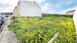 Terreno R�stico - Lourinh�, Lourinh�, Lisboa - Miniatura: 6/6