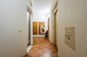 Apartamento T3 - Santarem, Santarm, Santarm - Miniatura: 39/57