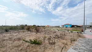 Terreno R�stico - Ferrel, Peniche, Leiria - Miniatura: 14/31