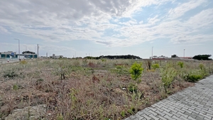 Terreno R�stico - Ferrel, Peniche, Leiria - Miniatura: 16/31