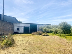 Terreno R�stico - Pernes, Santar�m, Santar�m - Miniatura: 6/15