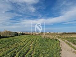 Terreno R�stico - Ferrel, Peniche, Leiria - Miniatura: 11/21