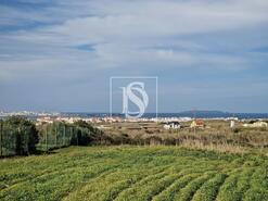 Terreno R�stico - Ferrel, Peniche, Leiria - Miniatura: 12/21