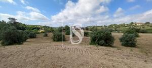 Quinta T2 - Romeira, Santar�m, Santar�m - Miniatura: 1/28