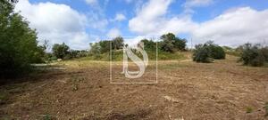 Quinta T2 - Romeira, Santar�m, Santar�m - Miniatura: 2/28