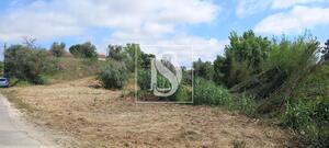 Quinta T2 - Romeira, Santar�m, Santar�m - Miniatura: 28/28