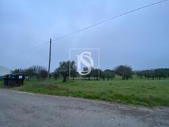 Terreno R�stico - Cas�vel, Santar�m, Santar�m - Miniatura: 1/4