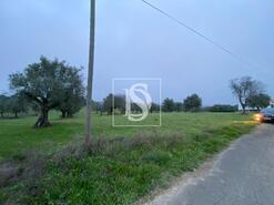 Terreno R�stico - Cas�vel, Santar�m, Santar�m - Miniatura: 3/4