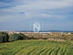 Terreno R�stico - Ferrel, Peniche, Leiria - Miniatura: 13/21