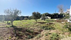 Terreno R�stico - Lourinh�, Lourinh�, Lisboa - Miniatura: 4/8