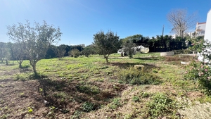 Terreno R�stico - Lourinh�, Lourinh�, Lisboa - Miniatura: 6/8