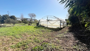 Terreno R�stico - Lourinh�, Lourinh�, Lisboa - Miniatura: 3/8