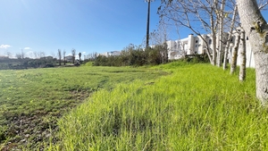 Terreno R�stico - Lourinh�, Lourinh�, Lisboa - Miniatura: 6/9