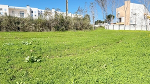 Terreno R�stico - Lourinh�, Lourinh�, Lisboa - Miniatura: 9/9