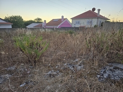 Terreno R�stico - Charneca da Caparica, Almada, Set�bal - Miniatura: 3/4