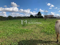 Terreno Rstico T0 - Ovar, Ovar, Aveiro - Miniatura: 1/5