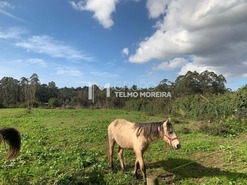 Terreno Rstico T0 - Ovar, Ovar, Aveiro - Miniatura: 3/5