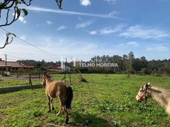 Terreno Rstico T0 - Ovar, Ovar, Aveiro - Miniatura: 4/5