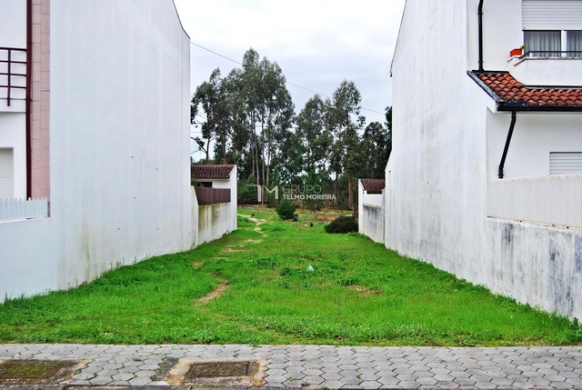 Terreno Rústico T0 - Ovar, Ovar, Aveiro - Imagem grande
