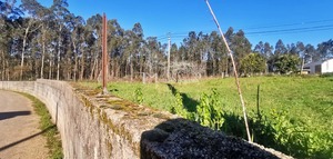 Terreno Rstico T0 - Vlega, Ovar, Aveiro - Miniatura: 1/3