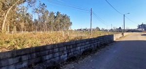 Terreno Rstico T0 - Vlega, Ovar, Aveiro - Miniatura: 3/3