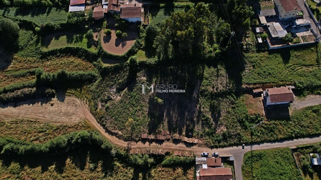 Terreno Rústico T0 - Vila de Cucujães, Oliveira de Azeméis, Aveiro - Imagem grande