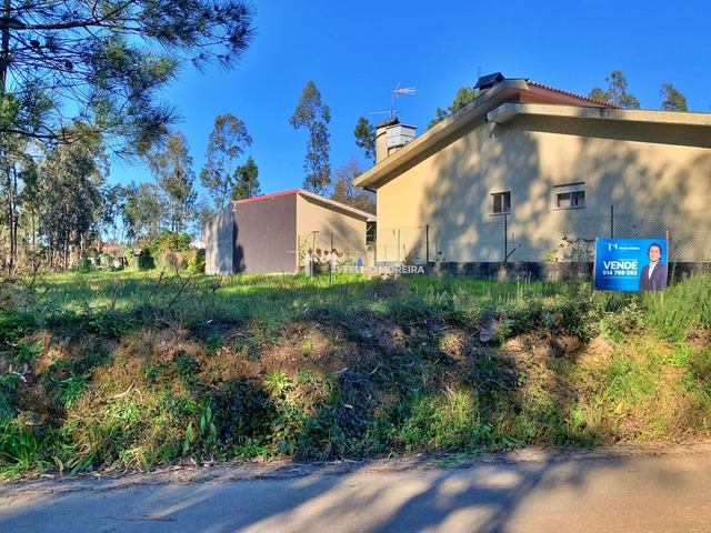 Terreno Rstico T0 - Mosteir, Santa Maria da Feira, Aveiro - Imagem grande