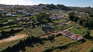 Terreno Rstico T0 - Vila de Cucujes, Oliveira de Azemis, Aveiro - Miniatura: 1/2