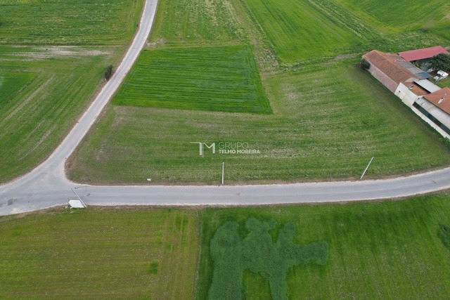 Terreno Rstico T0 - Bunheiro, Murtosa, Aveiro - Imagem grande