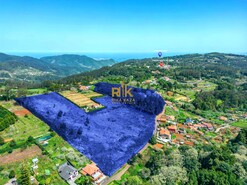 Terreno Rstico T1 - Santo Antnio da Serra, Santa Cruz, Ilha da Madeira - Miniatura: 1/30