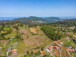 Terreno Rstico T1 - Santo Antnio da Serra, Santa Cruz, Ilha da Madeira - Miniatura: 2/30