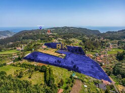 Terreno Rstico T1 - Santo Antnio da Serra, Santa Cruz, Ilha da Madeira - Miniatura: 3/30