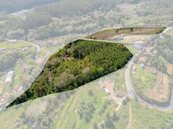 Terreno Rstico T1 - Santo Antnio da Serra, Santa Cruz, Ilha da Madeira - Miniatura: 6/30