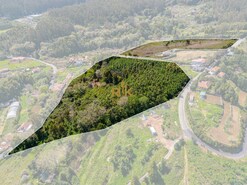 Terreno Rstico T1 - Santo Antnio da Serra, Santa Cruz, Ilha da Madeira - Miniatura: 5/30