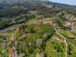 Terreno Rstico T1 - Santo Antnio da Serra, Santa Cruz, Ilha da Madeira - Miniatura: 20/30